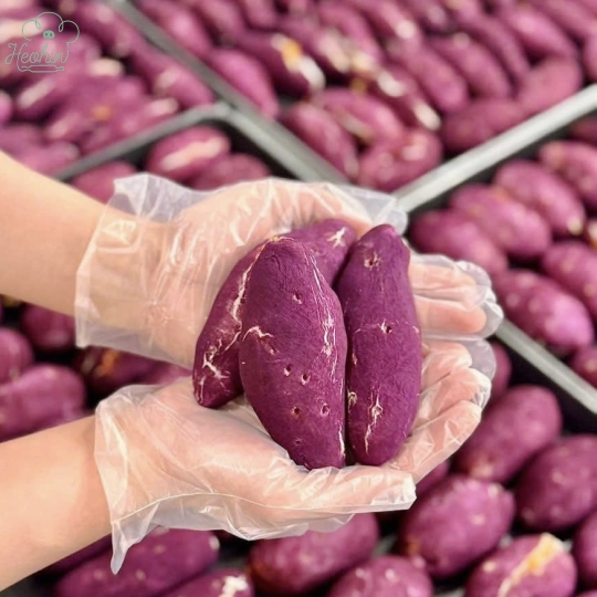 Bánh khoai lang mật phô mai